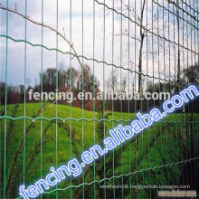 The Cheapest , factory low price Electric galvanized euro fence